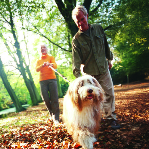 An Older Couple Walking a Dog
